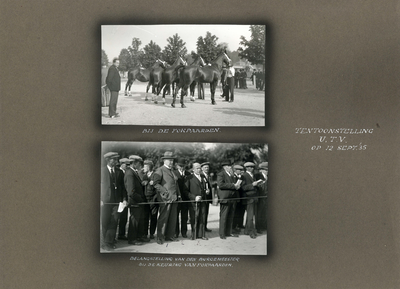 223105 Bladzijde met twee foto's van de keuring van de fokpaarden van de op de Veetentoonstellingen te Utrecht van 10 ...